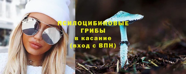 mdma Медвежьегорск