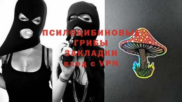 эйфоретик Медногорск
