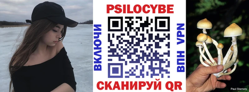 Купить закладки  Шумиха  Псилоцибиновые грибы Psilocybine cubensis 